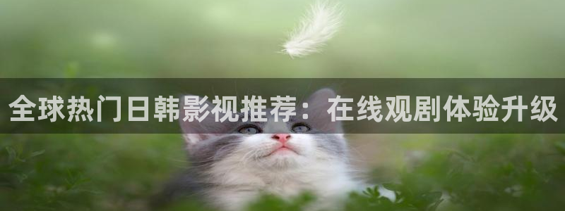 飘雪影院电影在线观看记录：全球热门日韩影视推荐：在线观剧体验升级