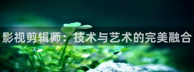 飘雪影院手机在线观看免费播放电视