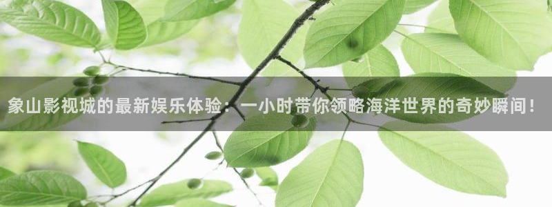 飘雪影院电影在线观看记录：象山影视城的最新娱乐体验：一小时带你领略海洋世界的奇妙瞬间！